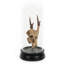 Deer Skull with Bel Glass Sculpture-1488515017