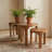 Paige Bunching End Table