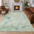 Machine Washable Indoor/Outdoor Chantille ACN2747 Paisley Rug-1996374773-1996374780
