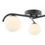 Raegen Glass Flush Mount