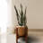 Ogallala Plant Stand-1928663464-1894657856