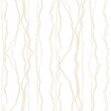 Fault Lines