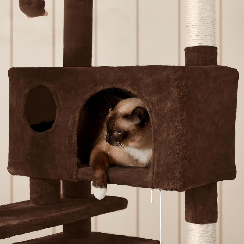 Brun | Tour pour arbre à chat de 54 pouces convenant aux chats d'intérieur, charge totale de 66 lb, équipée d'un perchoir à oreilles, de 2 grottes pour chat et de poteaux à griffes, structure à plusieurs niveaux avec échelle d'escalade et 2 balles en peluche, assemblage facile, conception adaptée aux animaux de compagnie