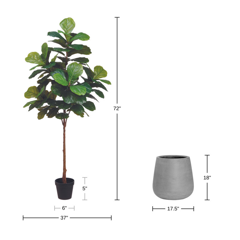 6' Fiddle Leaf Tree with Fiberstone Planter