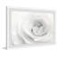 White Layers - Single Picture Frame Painting-1271528525