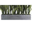 27" Potted Snake Plant - Natural-2116599304