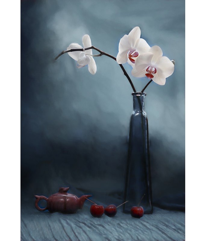 Wrapped Canvas Print, 60.96 cm H x 91.44 cm W