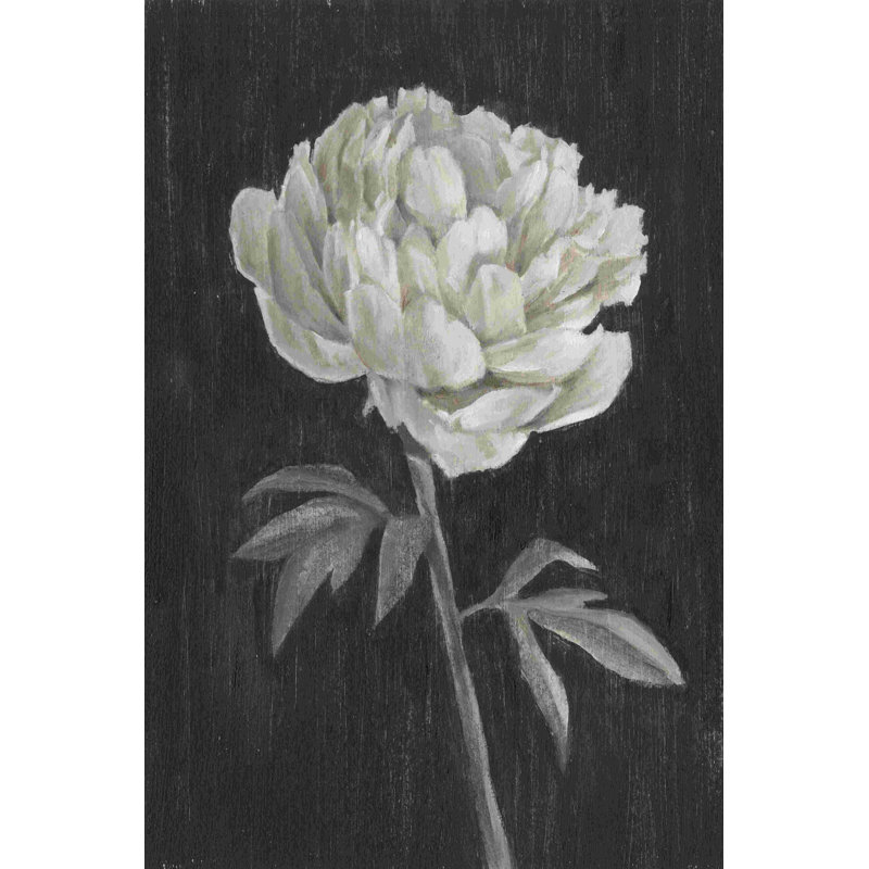 Fleurs noires et blanches I, H 12 po x l 8 po