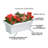 Kabal Planter Box