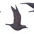 Polystone Metallic 3D Floating Bird Home Wall Decor Set of 3-206025004-206024995