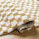 Cassarah Checkered Polyester Area Rug in Yellow/White