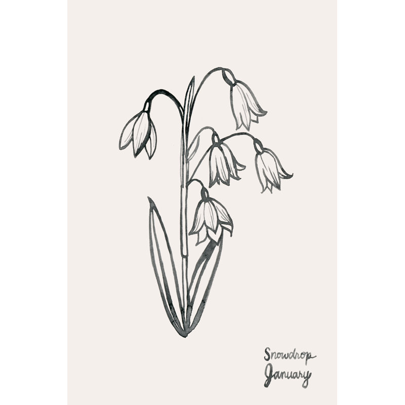 Annual Flowers I by Grace Popp - Drawing, 122cm H x 81cm W, Black Floater Framed