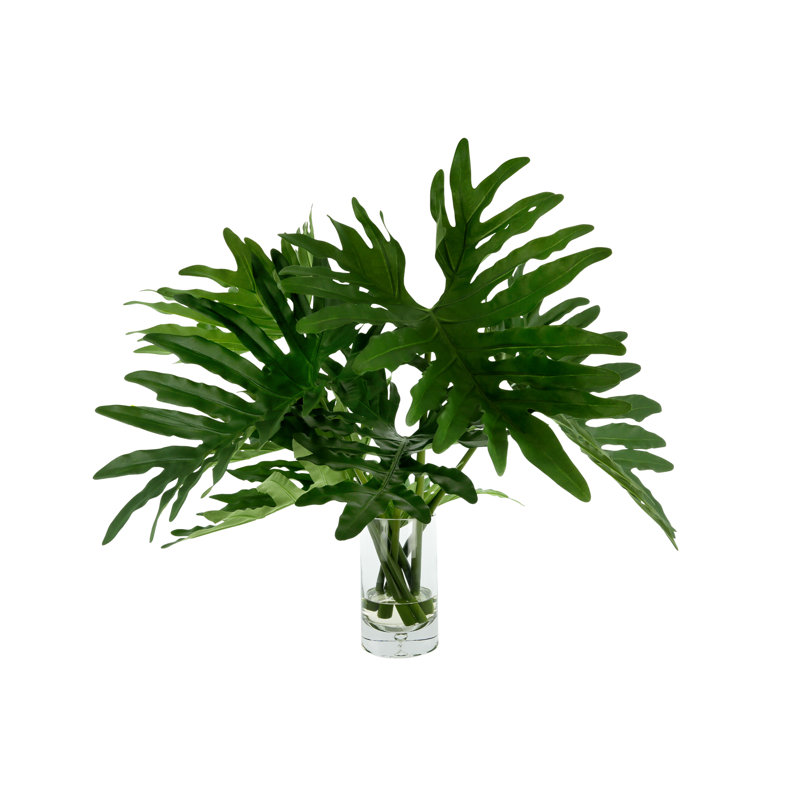Janousek Janousek biologique moderne faux Philodendron, H 25 po x l 29 po x P 29 po