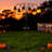 6-light Solar-powered Pumpkin Lantern