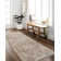 Janiaha Oriental Indoor Rug