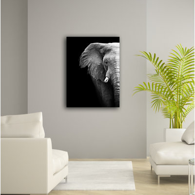 " Elephant Profile "