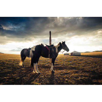 Horses and Yurt, Mongolia 1 Piece Wrapped Canvas Wall Art