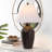 Sharron Carlyn 29.5" Table Lamp