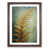 Walnut Framed is unavailable