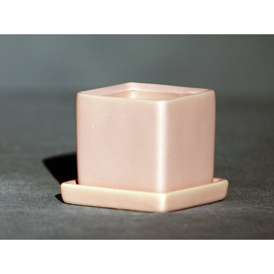 Cube avec soucoupes séparées By 