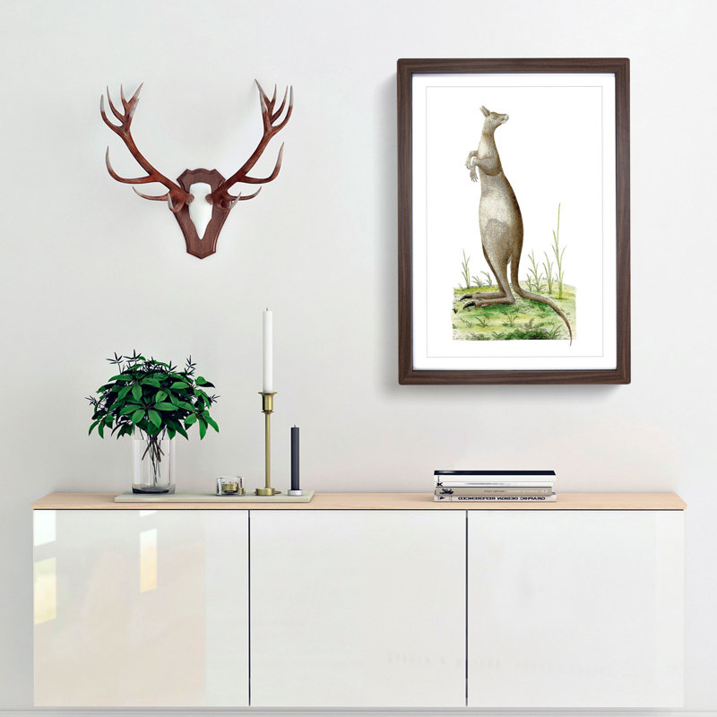 Great Kangaroo by George Shaw - Picture Frame Painting Print, 36cm H x 27cm W x 2cm D, Walnut Framed