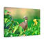 No Frame Print on Canvas-1298105731