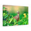 No Frame Print on Canvas