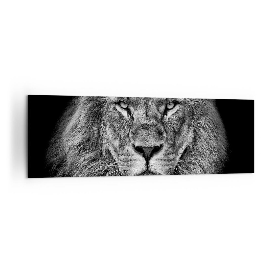 Leinwandbild Portrait Lion Black and White