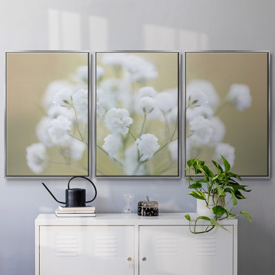 «Baby's Breath Study I», reproduction sur toile 3 pièces