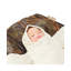 Christmas Traditions Sleep in Heavenly Peace Santa 10in
