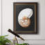 Graphic Nautilus - Peinture sur toile encadrée-1696427890