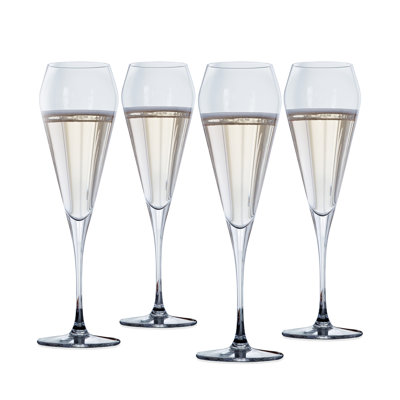 Willsberger Anniversary Champagne Flute Glass