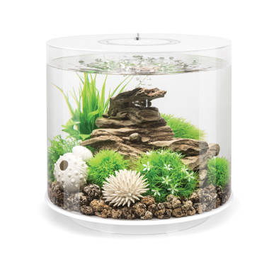 biOrb Classic 30 Aquarium - 8 Gallon Orb Fish Tank with MCR Light