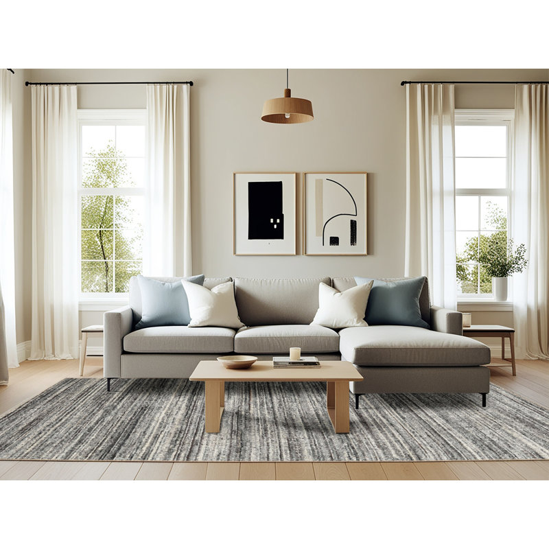 Tapis contemporain gris, Rectangle 6 pi x 9 pi