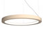 Luminaire suspendu à cadre DEL-68924902-69150233