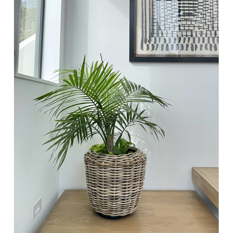 Ayriauna Handmade Urn Planter, 16" H x 17" W x 17" D