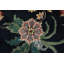 Tapis unique 11 pi 9 po x 15 pi 1 po Faruque