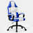 Blue/White is out of stock selected