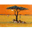 Golden Savanna