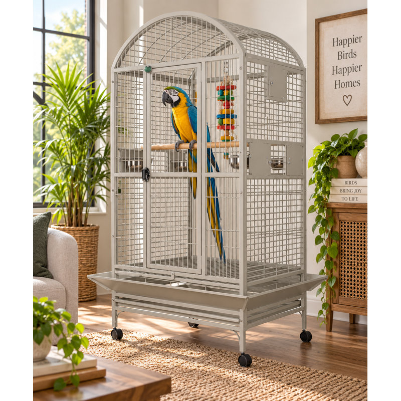 Cage XX XX, 77" H x 40" L x 30" W, Platine