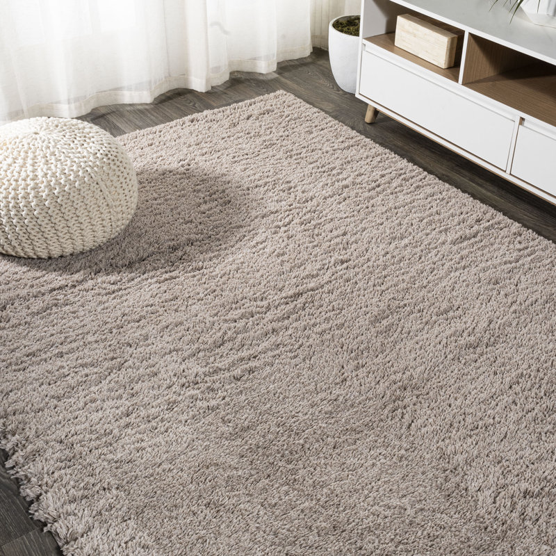 Tapis beige à poils longs Anttwan, Rectangle 3 pi 11 po x 5 pi 11 po