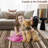 Washable Area Rugs for Living Room 9x12 Distressed Vintage Accent Carpet Geometric Patchwork Brown Floor Cover for Dining Room Bedroom, Non Slip Low Pile Foldable Office Rug-920959741