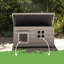 Cat House