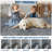 Bordered Machine Washable Rug with Rubber Backing Non Slip Soft Non Shedding Low Pile Thin Foldable Indoor Carpet-821996717-821689601