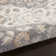Oriental Gray/Ivory Area Rug