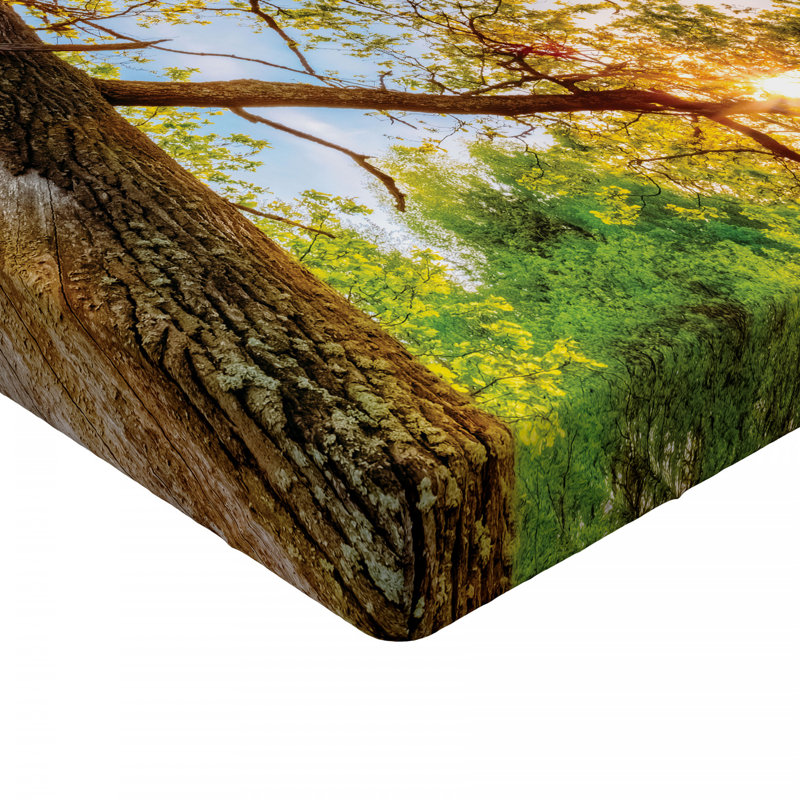 Microfiber Fitted Sheet, Twin Fitted Sheet