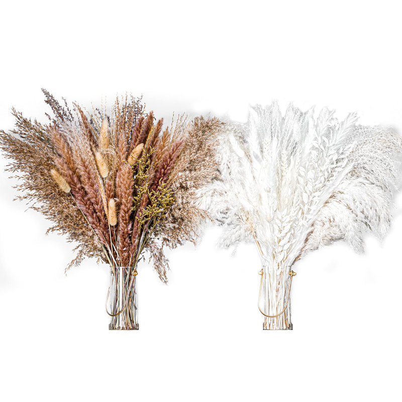 Pampa Arrangement