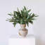 Tige d'eucalyptus ensemencé - 22,8 po-1126766381