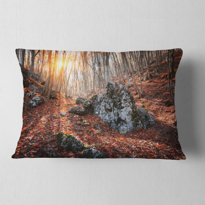 Coussin Schafer