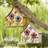 Athena 11 in x 11 in x 5 in Birdhouse-391990494